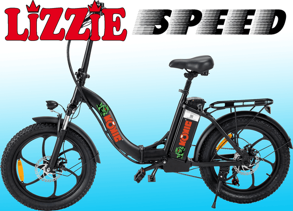 FALT E - RAD Lizzie Speed 20 x 30 756Ah-----Maße gefaltet 93 x 72 x 38 cm - BikeKÖNIG